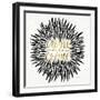 Black-CremeDeLaCreme-artprint-Cat Coquillette-Framed Giclee Print