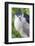 Black-Crowned Night Heron-Hal Beral-Framed Photographic Print