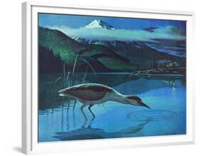 Black Crowned Night Heron-Stan Galli-Framed Premium Giclee Print