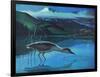 Black Crowned Night Heron-Stan Galli-Framed Giclee Print