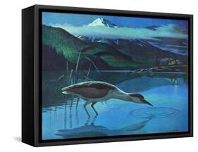 Black Crowned Night Heron-Stan Galli-Framed Stretched Canvas