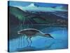 Black Crowned Night Heron-Stan Galli-Stretched Canvas