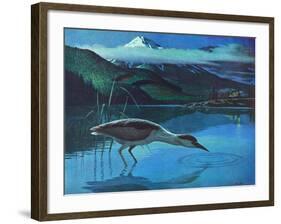 Black Crowned Night Heron-Stan Galli-Framed Giclee Print