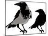 Black Crows-sharpner-Mounted Art Print