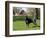 Black Doberman in Spring-Lynn M^ Stone-Framed Photographic Print