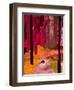 Black Dog, 2013-David McConochie-Framed Premium Giclee Print