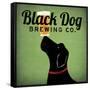 Black Dog Brewing Co on Green-Ryan Fowler-Framed Stretched Canvas