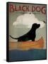 Black Dog Canoe-Ryan Fowler-Framed Stretched Canvas