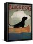 Black Dog Canoe-Ryan Fowler-Framed Stretched Canvas