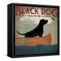 Black Dog Canoe-Ryan Fowler-Framed Stretched Canvas