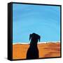 Black Dog in Chestertown, 1998-Marjorie Weiss-Framed Stretched Canvas