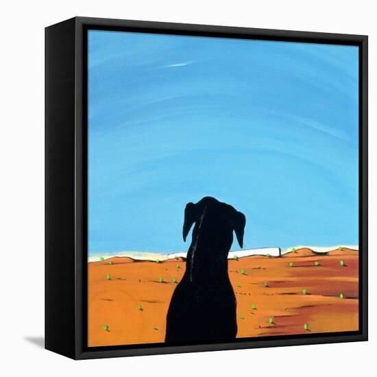 Black Dog in Chestertown, 1998-Marjorie Weiss-Framed Stretched Canvas
