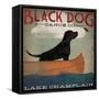 Black Dog Lake Champlain-Ryan Fowler-Framed Stretched Canvas