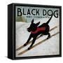 Black Dog Ski-Ryan Fowler-Framed Stretched Canvas