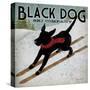 Black Dog Ski-Ryan Fowler-Stretched Canvas