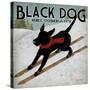 Black Dog Ski-Ryan Fowler-Stretched Canvas