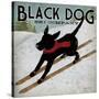 Black Dog Ski-Ryan Fowler-Stretched Canvas