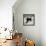 Black Dog Ski-Ryan Fowler-Framed Stretched Canvas displayed on a wall