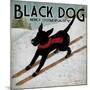 Black Dog Ski-Ryan Fowler-Mounted Premium Giclee Print