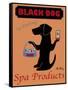 Black Dog Spa-Ken Bailey-Framed Stretched Canvas