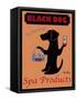 Black Dog Spa-Ken Bailey-Framed Stretched Canvas