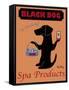 Black Dog Spa-Ken Bailey-Framed Stretched Canvas