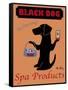 Black Dog Spa-Ken Bailey-Framed Stretched Canvas