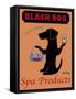 Black Dog Spa-Ken Bailey-Framed Stretched Canvas