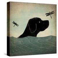 Black Dog Swim-Ryan Fowler-Stretched Canvas