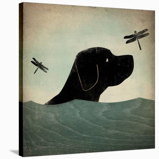 Black Dog Swim-Ryan Fowler-Stretched Canvas