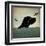 Black Dog Swim-Ryan Fowler-Framed Art Print