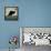 Black Dog Swim-Ryan Fowler-Framed Stretched Canvas displayed on a wall