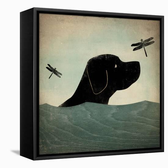 Black Dog Swim-Ryan Fowler-Framed Stretched Canvas