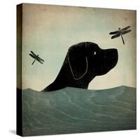 Black Dog Swim-Ryan Fowler-Stretched Canvas