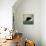 Black Dog Swim-Ryan Fowler-Stretched Canvas displayed on a wall