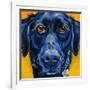 Black Dog-Connie R. Townsend-Framed Art Print