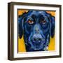 Black Dog-Connie R. Townsend-Framed Art Print