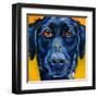 Black Dog-Connie R. Townsend-Framed Art Print