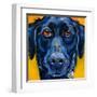 Black Dog-Connie R. Townsend-Framed Art Print