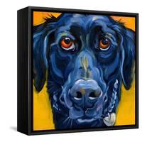 Black Dog-Connie R. Townsend-Framed Stretched Canvas