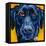 Black Dog-Connie R. Townsend-Framed Stretched Canvas