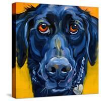 Black Dog-Connie R. Townsend-Stretched Canvas