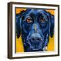 Black Dog-Connie R. Townsend-Framed Art Print