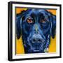 Black Dog-Connie R. Townsend-Framed Art Print