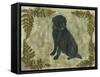 Black Dog-Tina Nichols-Framed Stretched Canvas