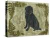 Black Dog-Tina Nichols-Stretched Canvas