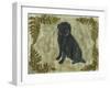 Black Dog-Tina Nichols-Framed Giclee Print
