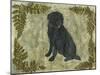 Black Dog-Tina Nichols-Mounted Giclee Print