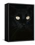 Black Domestic Cat, Eyes with Pupils Closed in Bright Light-Jane Burton-Framed Stretched Canvas