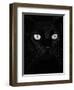 Black Domestic Cat, Eyes with Pupils Closed in Bright Light-Jane Burton-Framed Premium Photographic Print